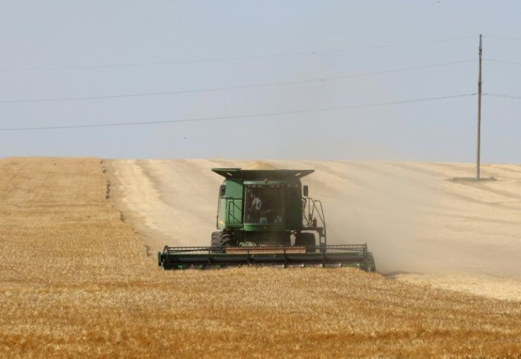 A Ukrainian farmer harvests wheat in June near Izmail in far the southwest of the country, in territory still controlled by Kyiv.
