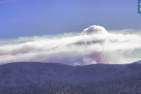 Smoke rises from hills as the Washburn Fire burns near Ahwahnee, California, U.S., July 9, 2022 in this screengrab taken from a handout video. alertwildfire.org/Handout via REUTERS  