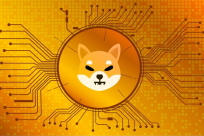 How to accept Shiba Inu payments and get fiat?