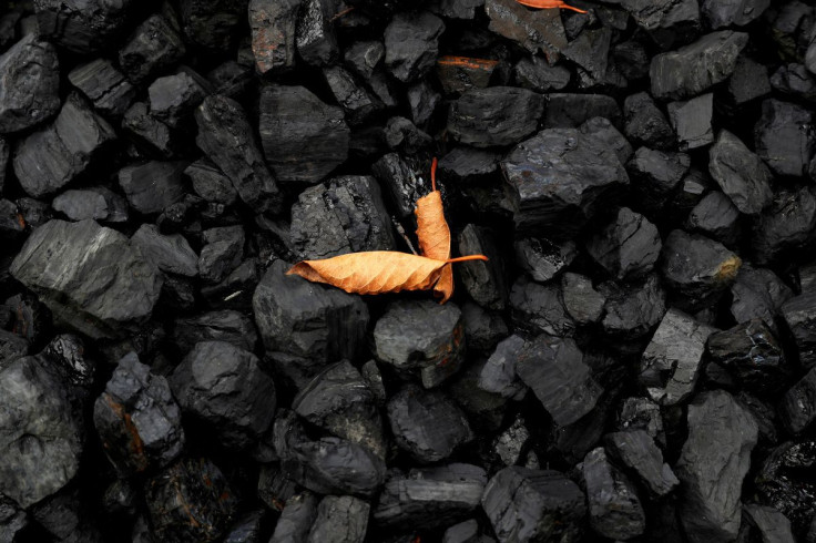 A leaf sits on top of a pile of coal in Youngstown, Ohio, U.S., September 30, 2020. 