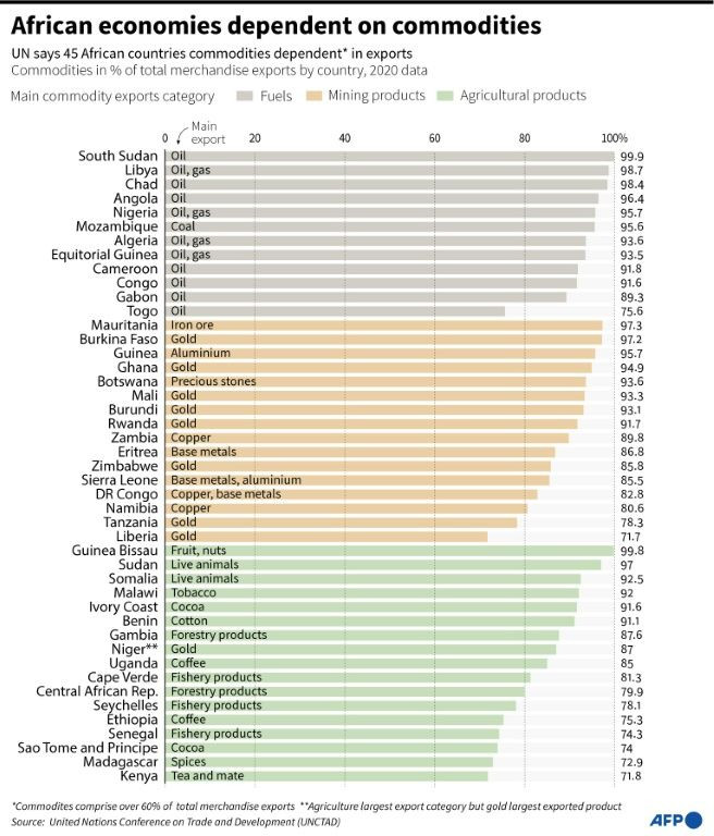African economies remain heavily dependent on commodities, which leaves them vulnerable to global shocks, the UN says