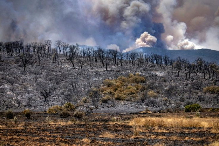 Since Wednesday night, at least 1,000 hectares (2,500 acres) of forest have been burned in Larache and Ouezzane, according to initial reports