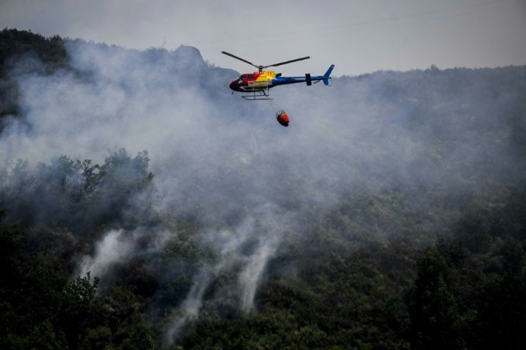 Almost the whole of Portugal is on high alert for wildfires