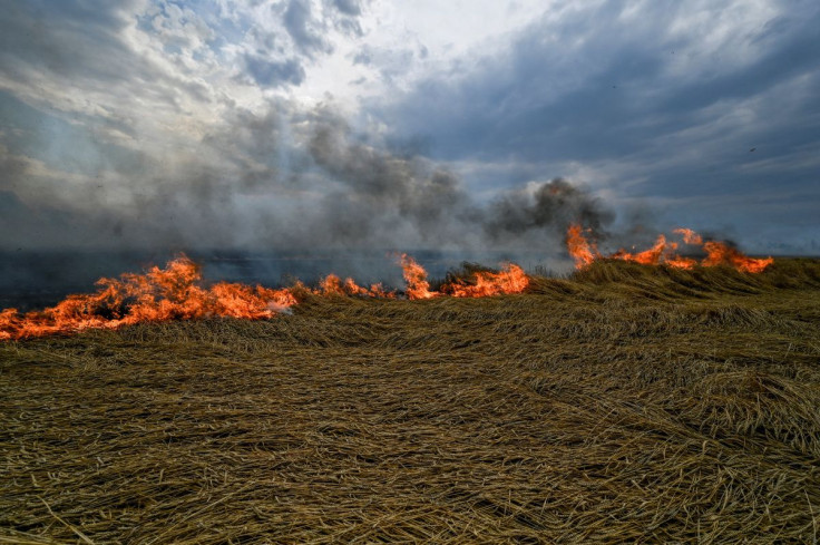 A burning wheat field is seen near a frontline on a border between Zaporizhzhia and Donetsk regions, as Russiaâs attack on Ukraine continues, Ukraine July 17, 2022. 