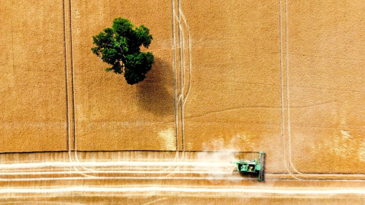 Harvest takes place in fields during a heatwave in Shrewsbury, Britain, July 18, 2022.