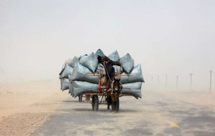 A Uighur man sleeps during a sandstorm as he rides his horse cart delivering hay around the Paklamakan desert, some 100km (63 miles) east to Yecheng, in the region of Xinjiang in this April 5, 2008