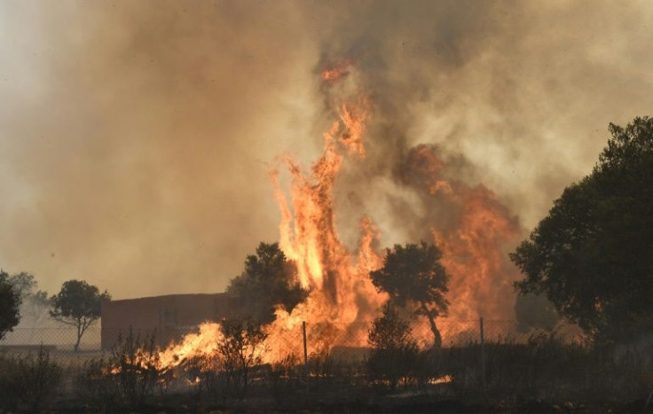 Spanish firefighters are battling several wildfires as temperatures reach 43C