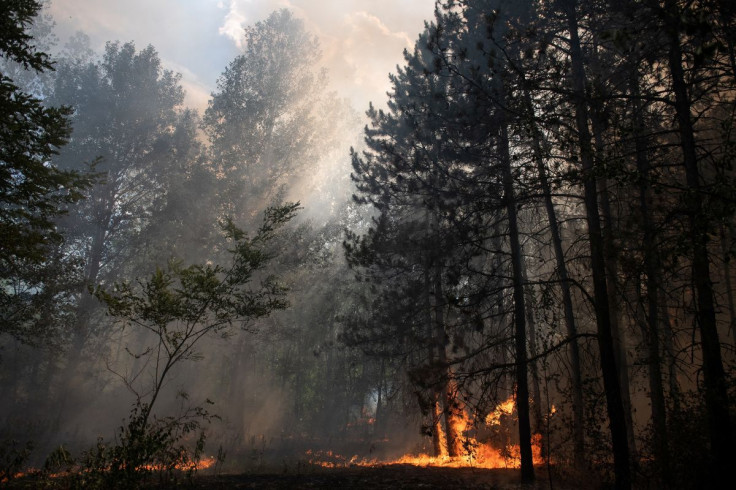 A wildfire burns near Kecskemet, Hungary, July 14, 2022. Farmers across Hungary have reported "historic" drought damage affecting some 550,000 hectares of land, the ministry of agriculture said this month.