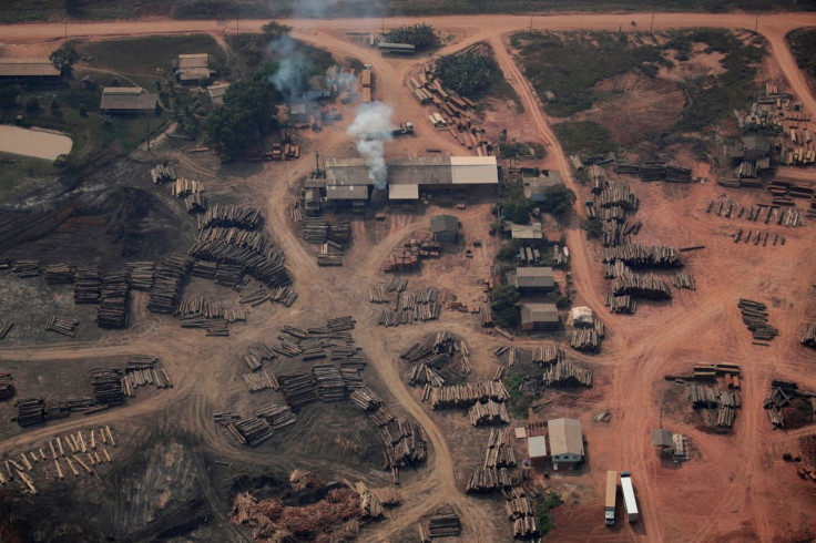 An aerial view of logs cut from Amazon rainforest near of the road BR-319 highway in city of Realidade, Amazonas state, Brazil, August 22, 2019. 