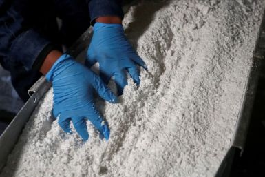 An employee grabs carbonate lithium after being processed in  Argentina August 12, 2021. 