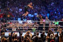 Brock Lesnar, Roman Reigns