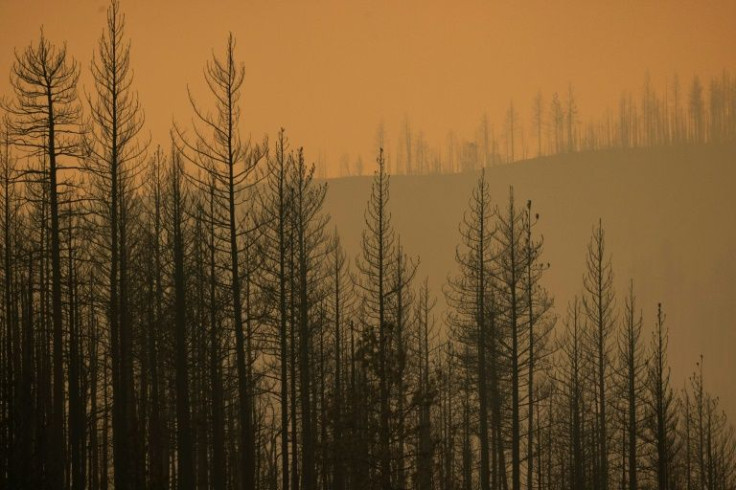 The McKinney Fire in the Klamath National Forest is the largest wildfire in California this year