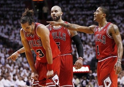 Bulls
