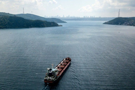 The first wartime grain ship from Ukraine crossed Istanbul on Wednesday, with three more setting sail on Friday