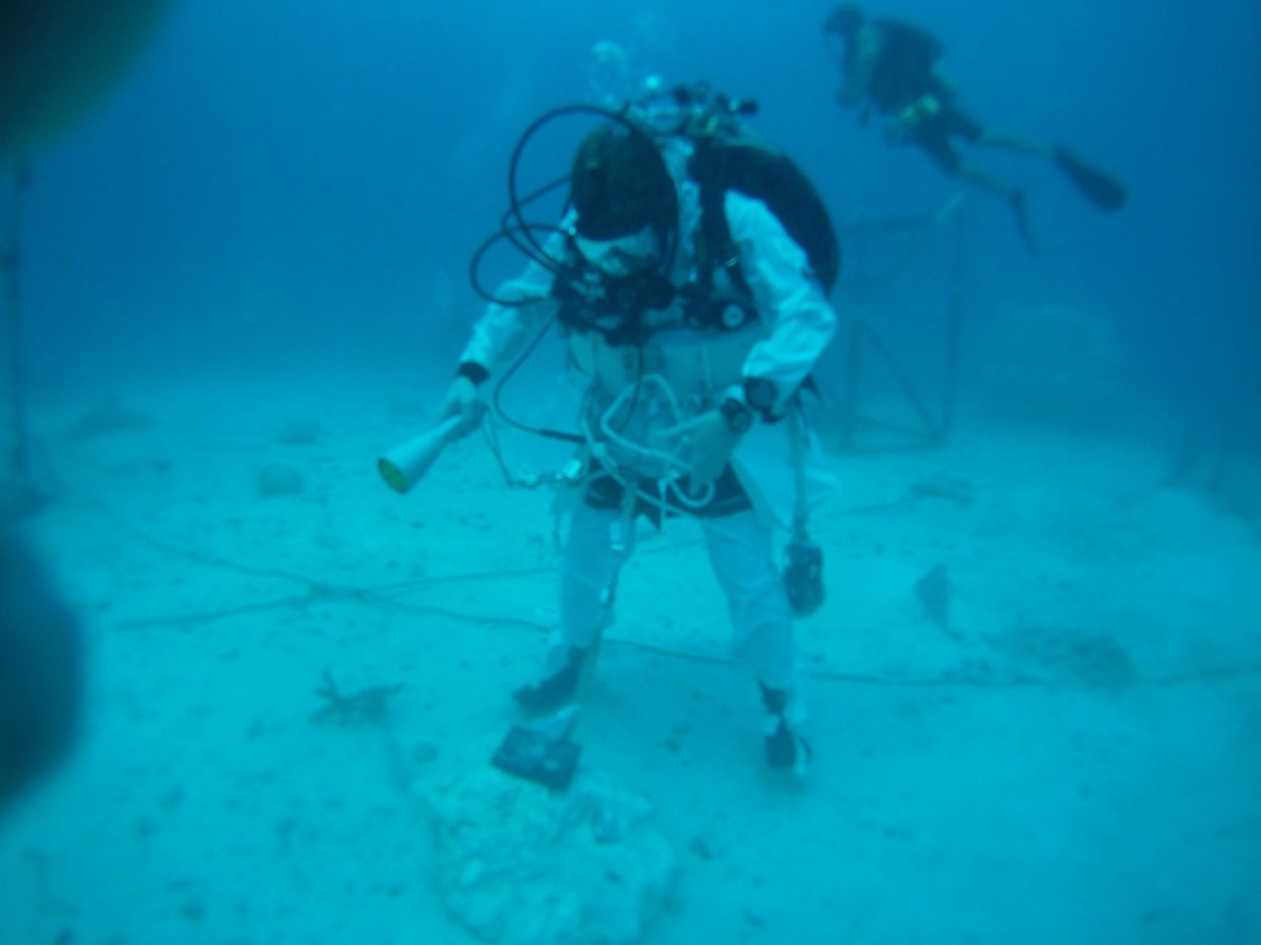 NEEMO engineering crew diver