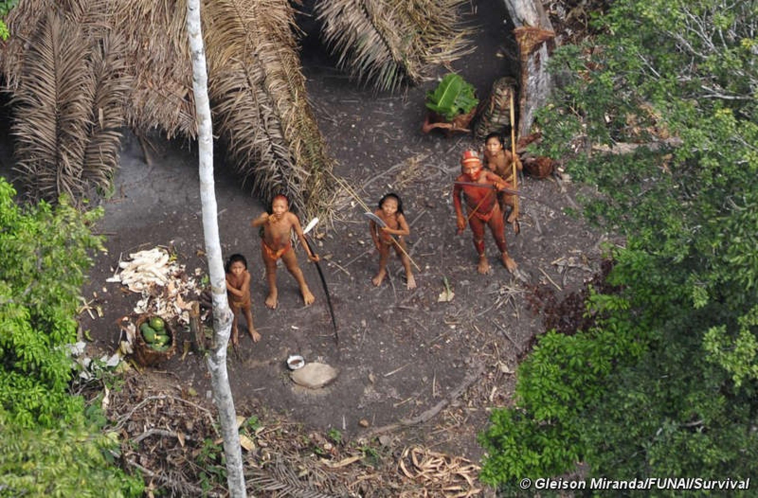 The Uncontacted Indians of Brazil 