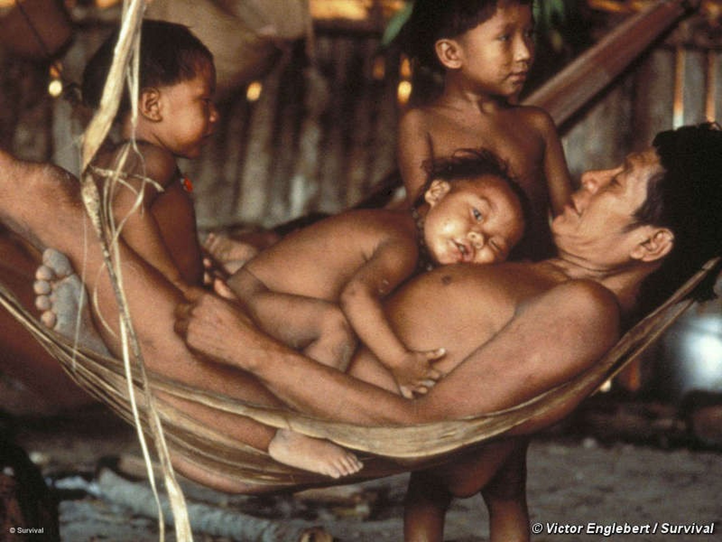 The Yanomami 