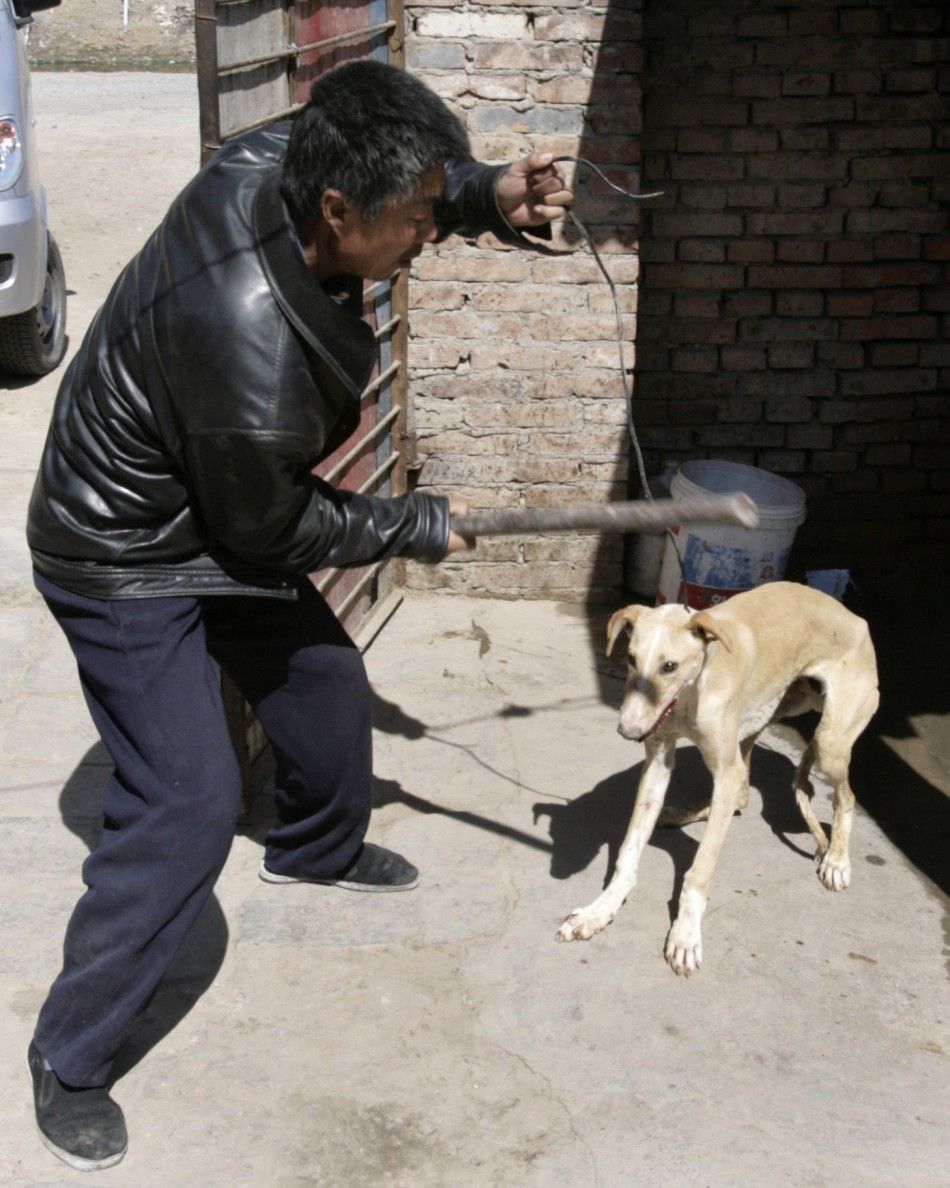 A man hits a dog that is about to be slaughtered in the backyard of his home in Beijing