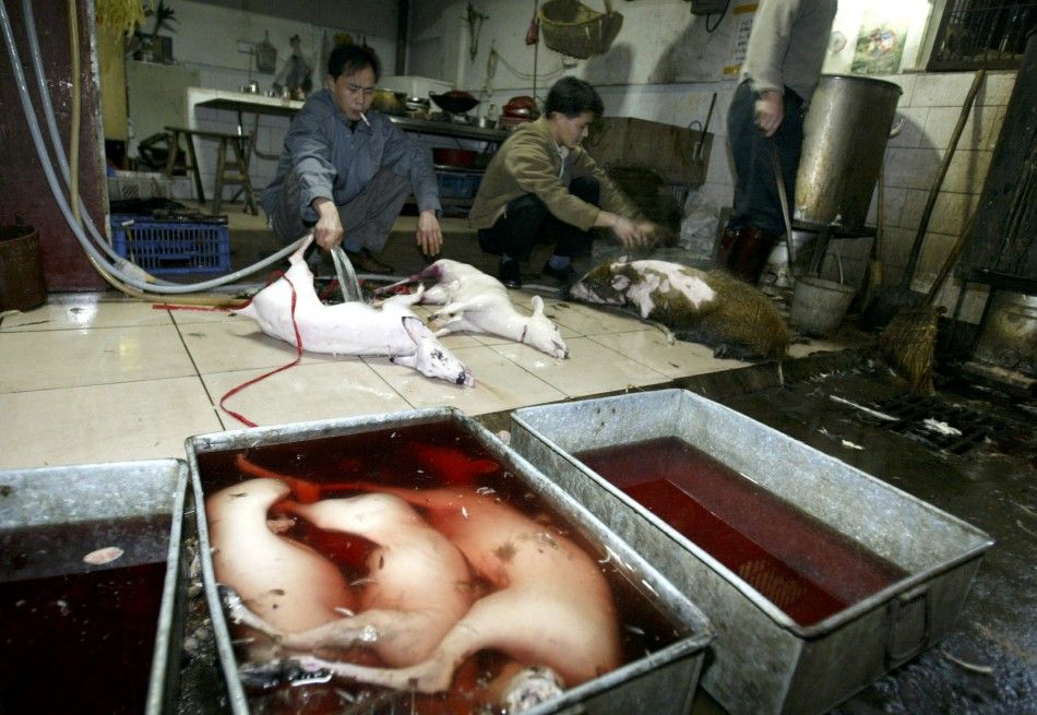 Is there any law concerning dog meat 