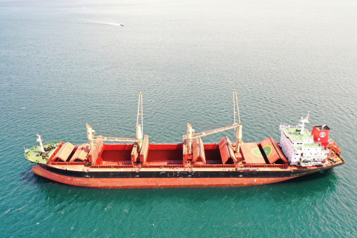 The Turkish bulk carrier OSPREY S, Liberian-flagged cargo ship, is seen anchored off the shore of Tuzla in Istanbul