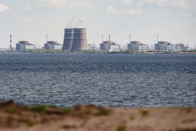 Ukraine's Zaporizhzhia nuclear site  has been under Russian control since the early days of the invasion