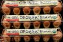 Pete and Gerry's organic eggs are seen at the Safeway store in Wheaton Maryland