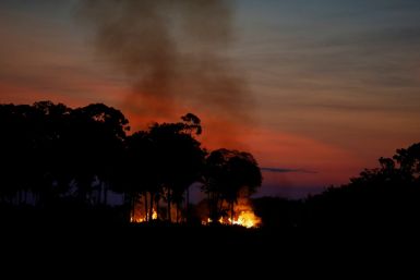 Forest fires in the Amazon rainforest in Brazil
