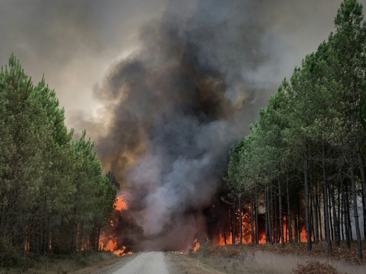 Thousands of hectares of pine forest have been destroyed in the Landiras blaze since Tuesday