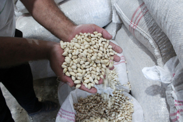 A worker displays pistachios at a factory in the town of Morek
