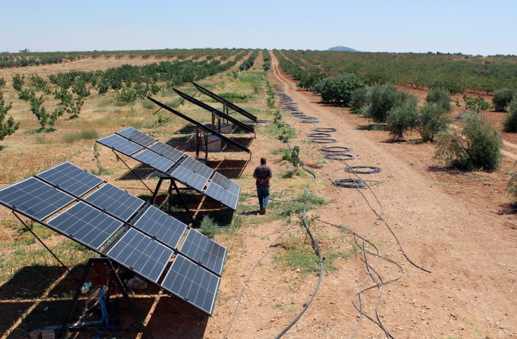 A man walks past solar panels along an orchard in the town of Soran
