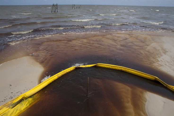 Pollution continues to choke America’s beach waters