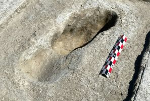 Footprints from the late Ice Age some 12,000 years ago were discovered in the US state of Utah when researchers driving past in a car noticed the distinct depressions in a dried river bed