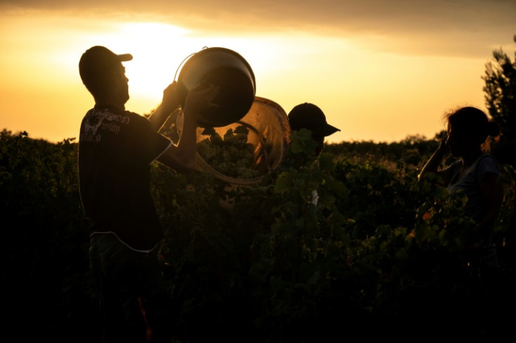 French wine regions from the southwest to the northeast are suffering through heatwaves