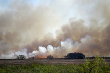 Wildfires rage the Parana river's delta region, in central east Argentina