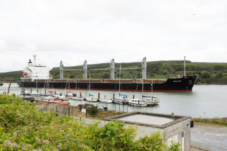 Business Tools - Russian Crops, Fertiliser Must Move 'Unimpeded': UN Chief The Panama-flagged Navi Star carries one of the first shipments to leave Ukraine under the deal