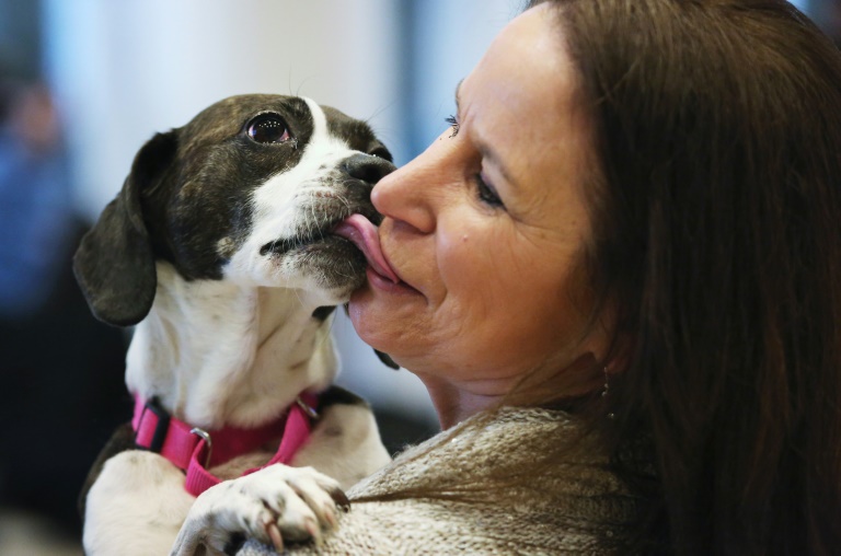 you-re-crying-study-shows-dogs-get-teary-eyed-when-they-reunite-with