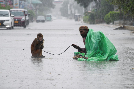 A man sits with his pet monkey, as they seek charity from passersby, along a road amidst rainfall during the monsoon season in Hyderabad