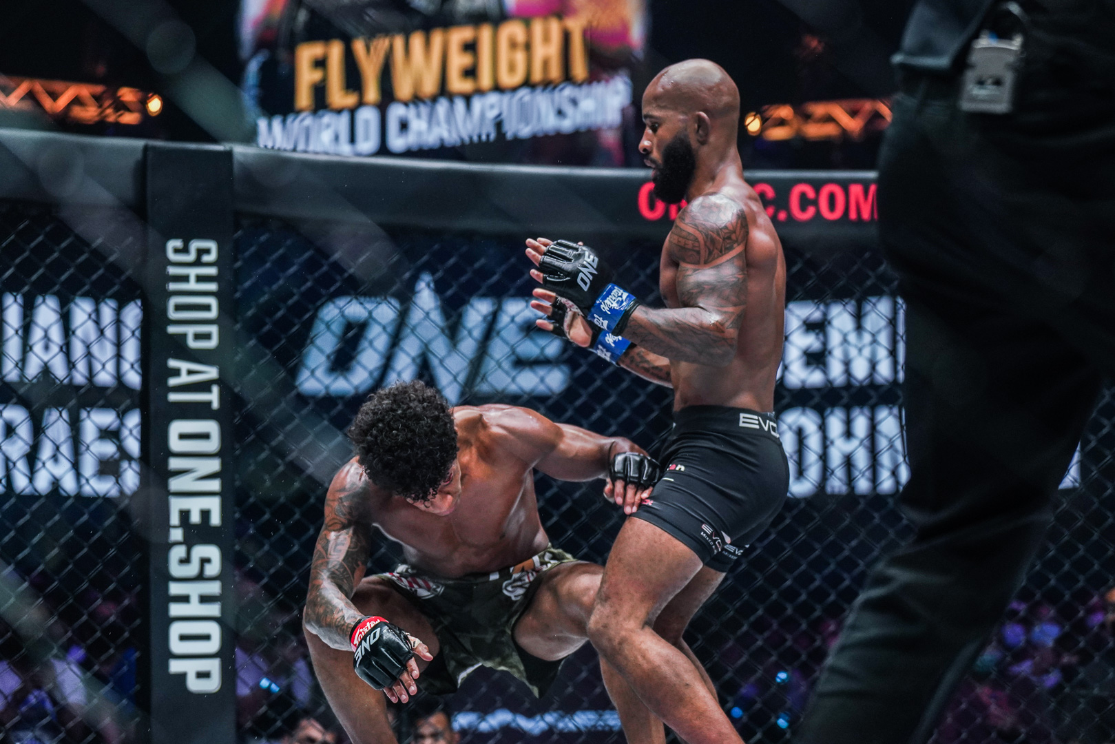 'Vintage' Demetrious Johnson Exacts Revenge On Adriano Moraes ...