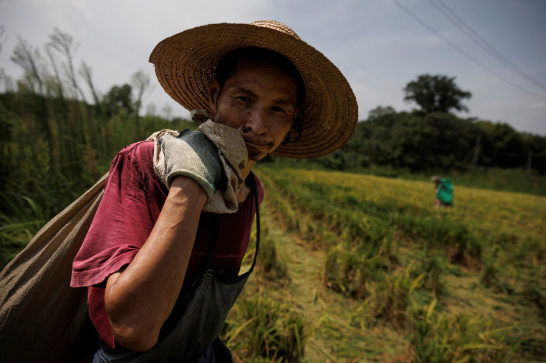 A farmer carries a sack of rice after harvest as the region experiences a drought outside Jiujiang city