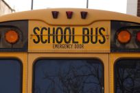 Representational image (School bus) 