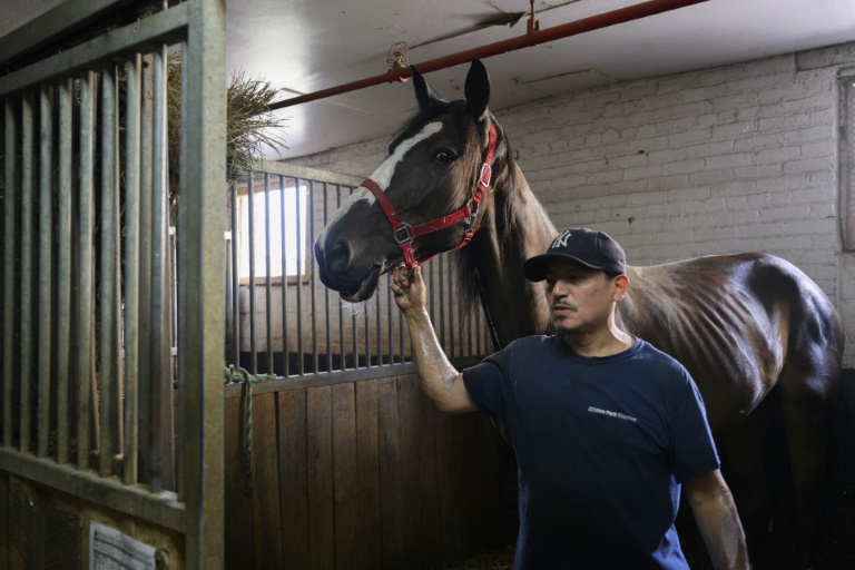 End Of The Road For New York’s Horse-drawn Carriages?