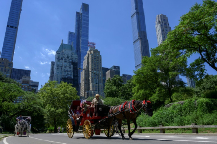 Horse-drawn carriages have been operating in Central Park since the late 19th century