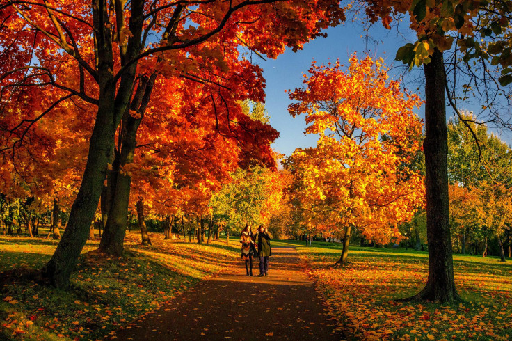 People enjoying the colourful September walks