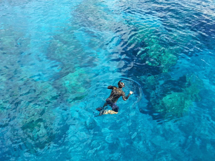 Representational image (snorkeling)