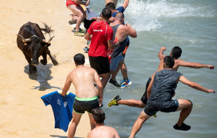 Some races involve bulls running through the streets, while others - the 'bous a la mar' - end at the sea with runners vying to make the bulls fall into the water
