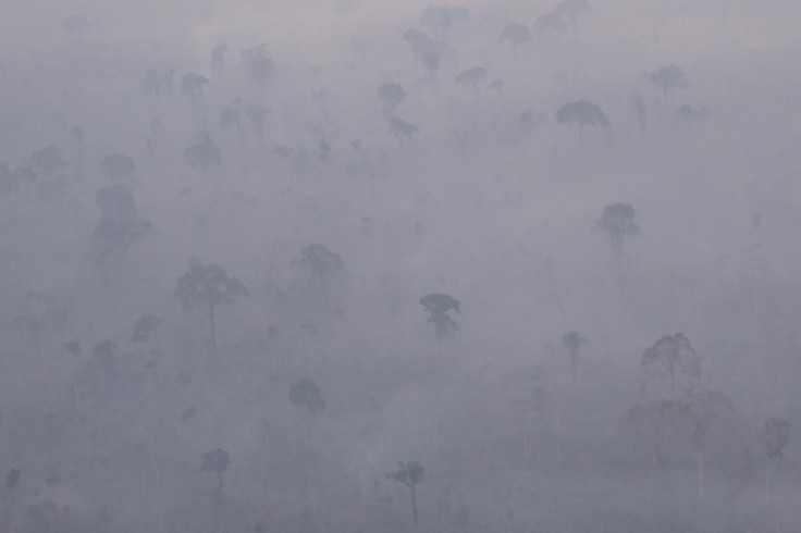 The Brazilian Amazon recorded its worst month of August for forest fires since 2010, with an 18 percent rise from a year ago, according to official data