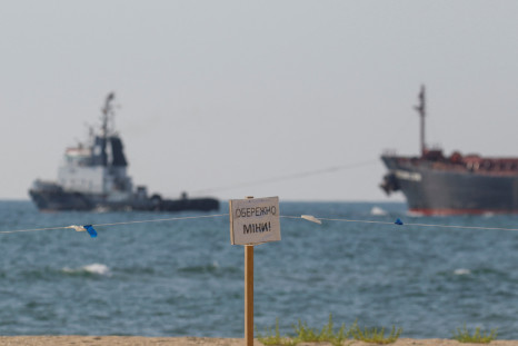 The bulk carrier Ocean Lion leaves the sea port in Chornomorsk