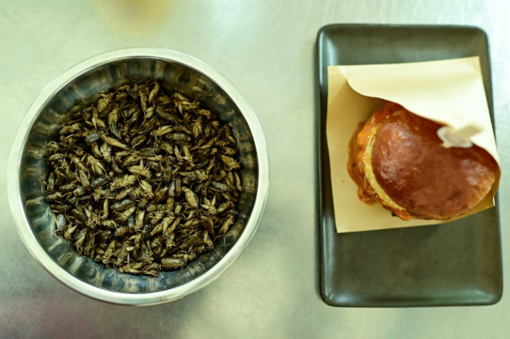 Waiter, there's an insect in my burger? A Bangkok pop-up is serving cricket burgers