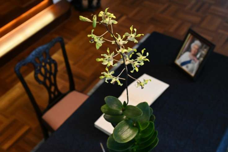Flowering just twice a year, the Dendrobium Elizabeth was bred from orchids originating from Singapore and Papua New Guinea