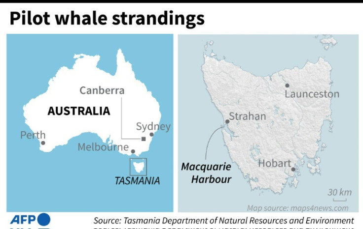 Map showing Macquarie Harbour in Tasmania where some 230 pilot whales were found stranded on September 21.